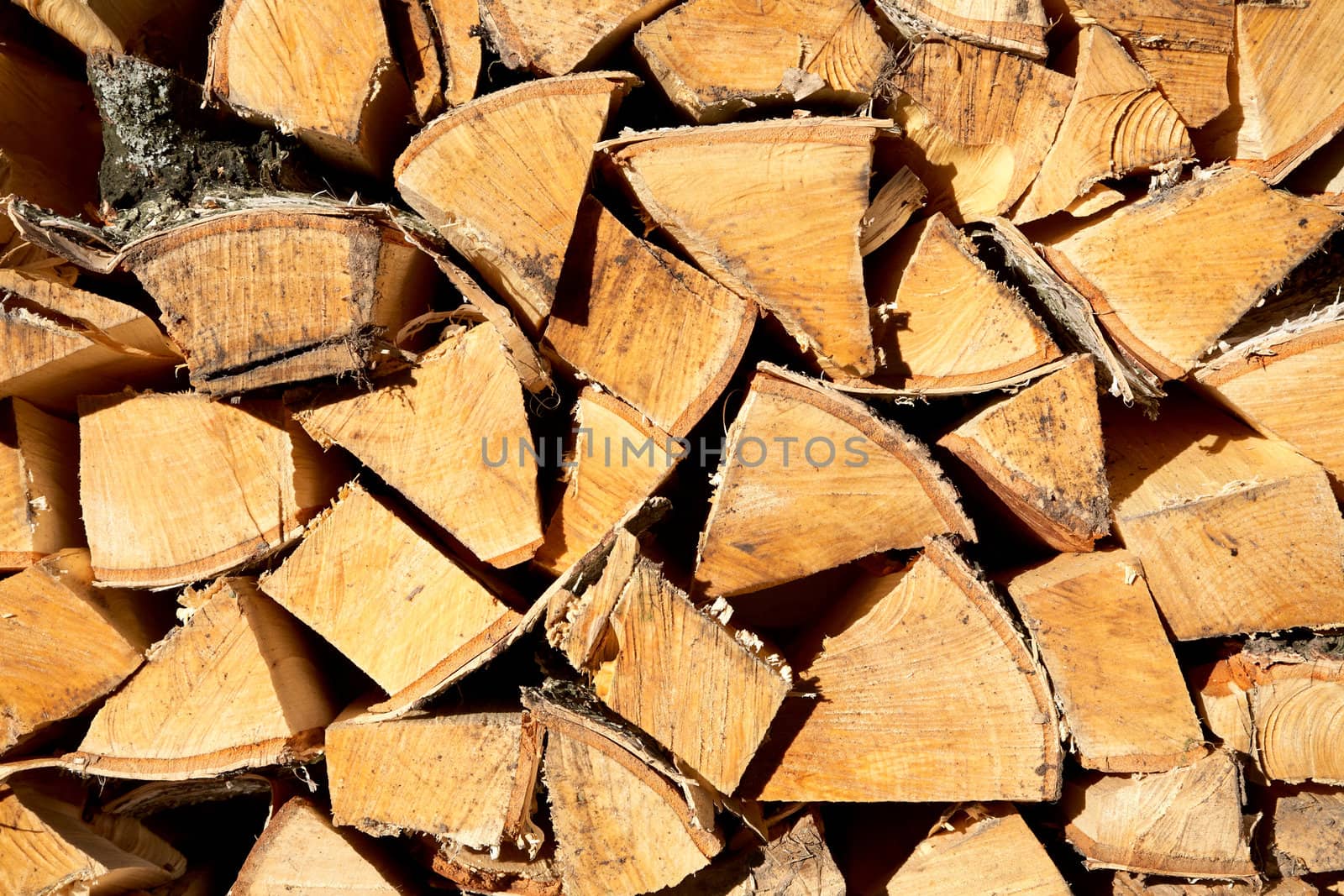 Stack of freshly cut fire wood shined with the sun
