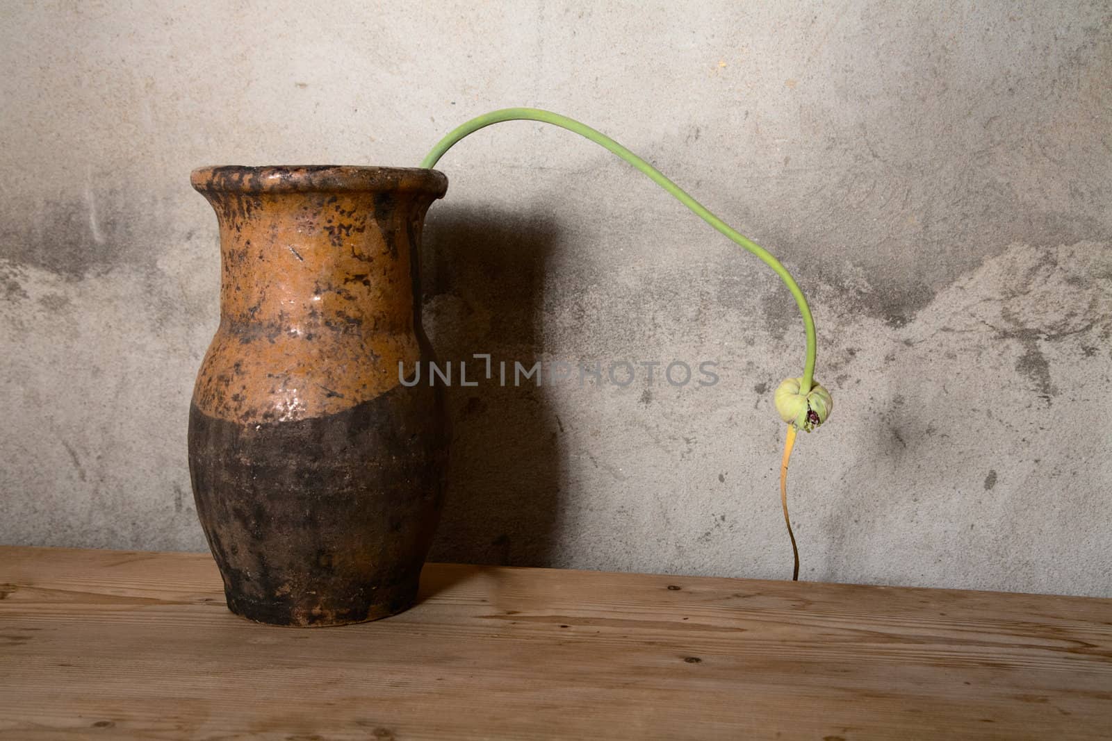 Still-life with an old jug against a cement wall