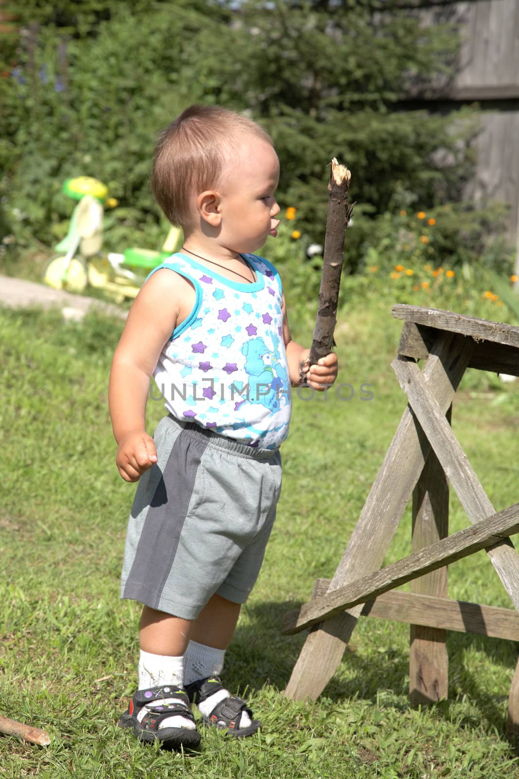 The little boy holds in hands a stick the afternoon 
