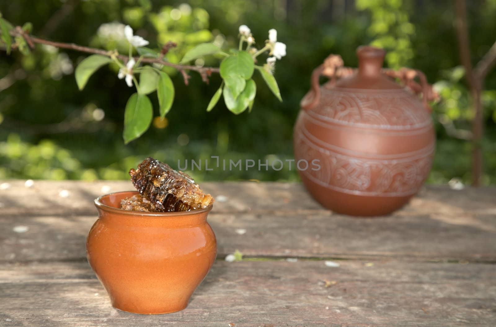 Honey in  pot against a blossoming pear