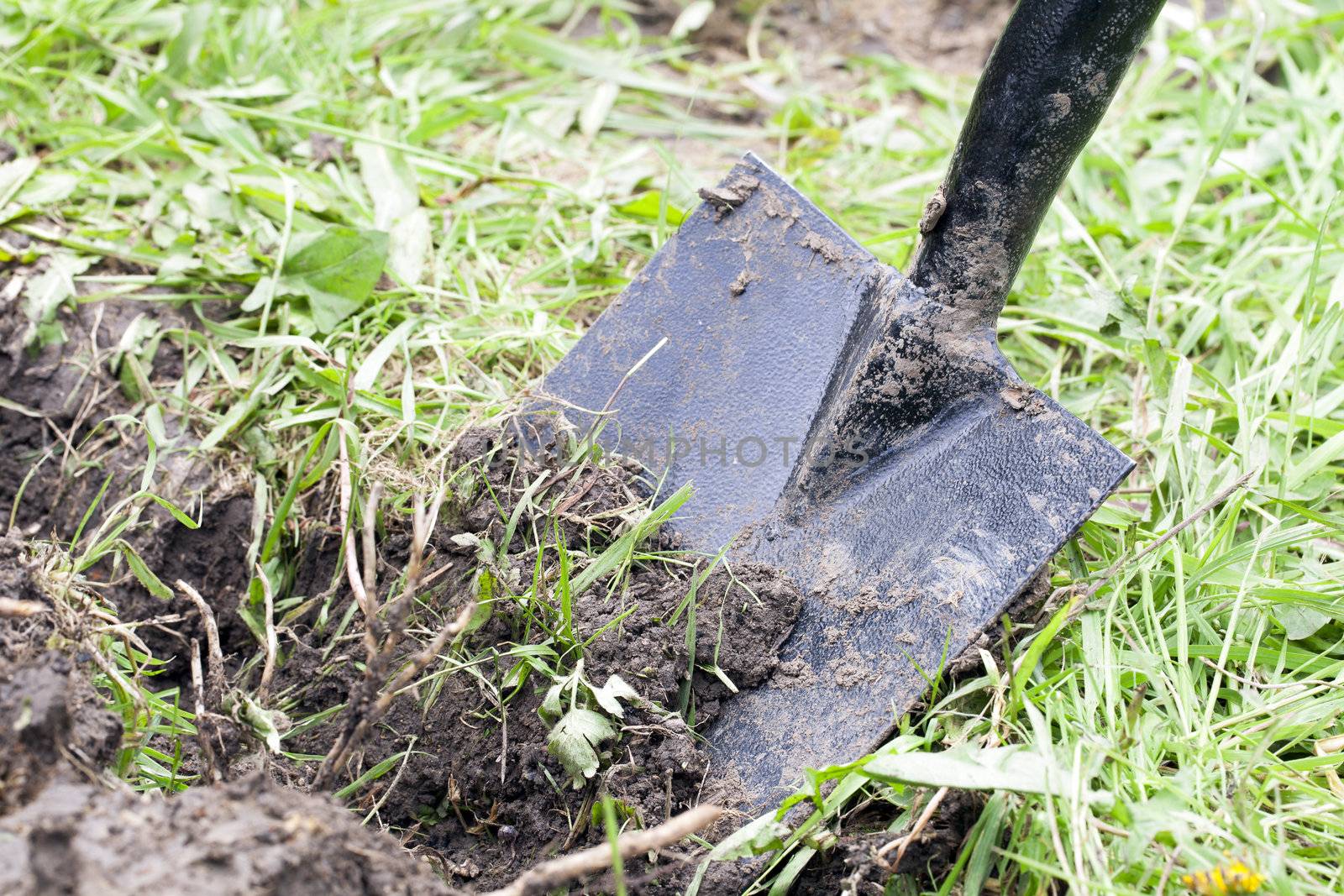 Spade in ground, digging up new garden.