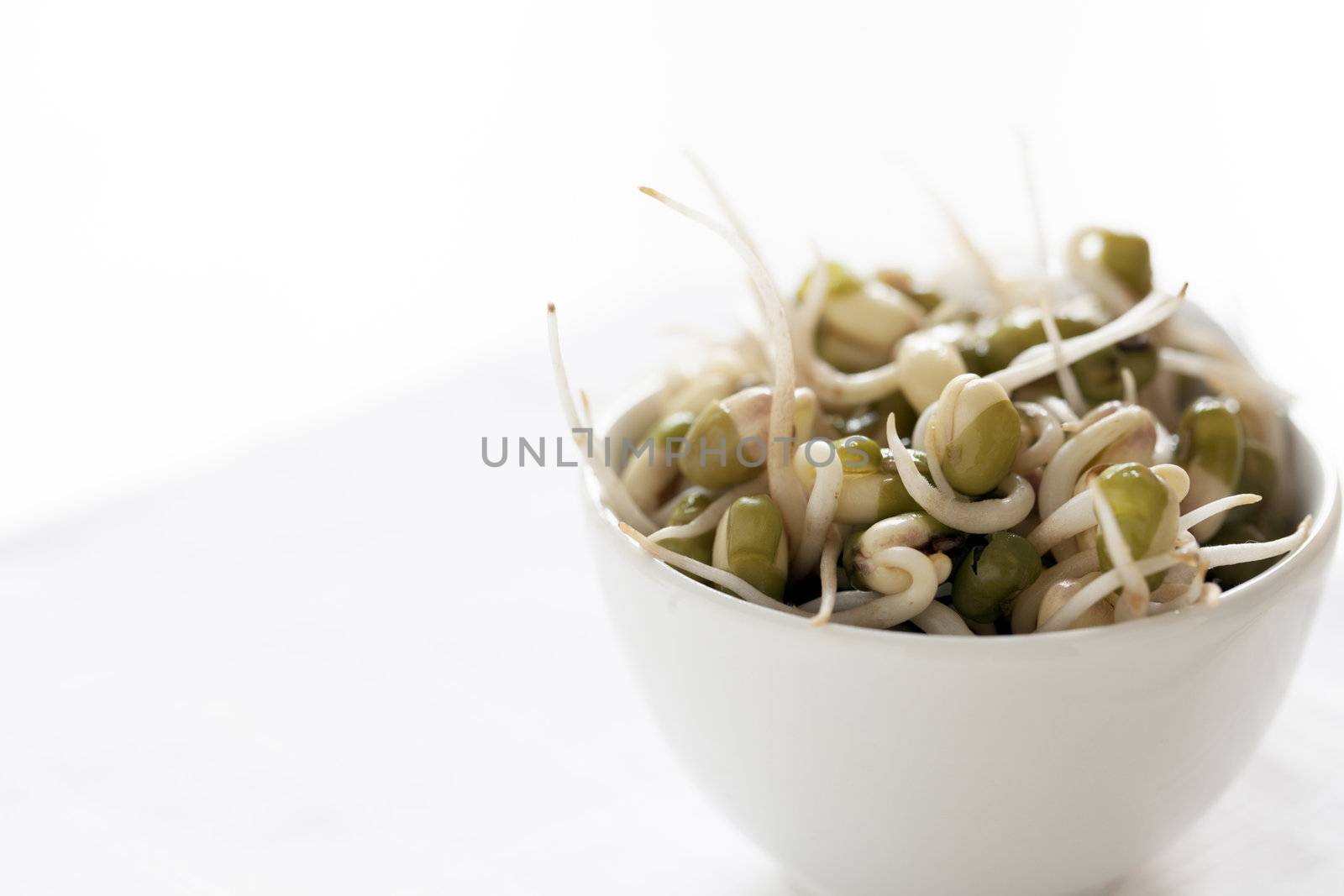 Mung bean sprouts in small white cup.