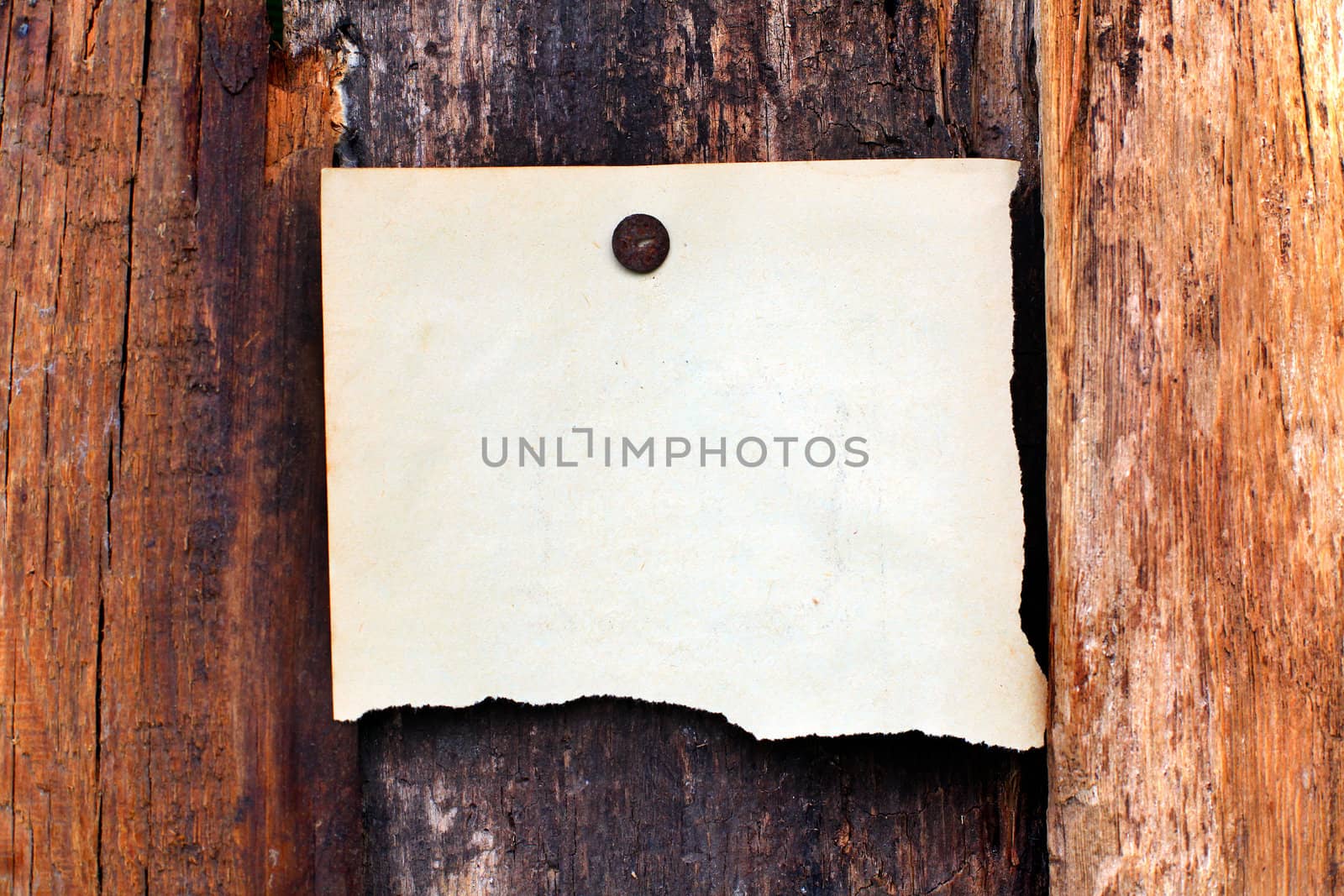 blank paper on wooden background by sabphoto