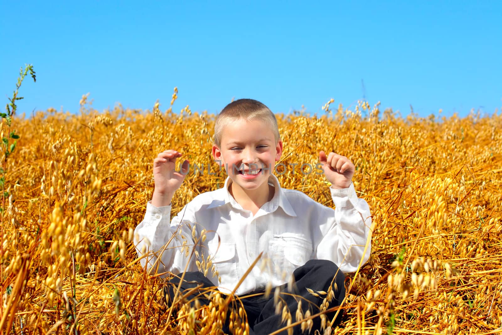 happy kid in wheat field