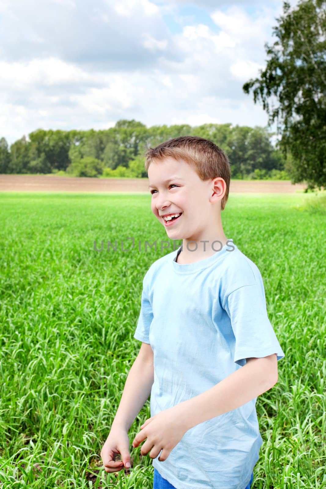 happy boy in the summer field