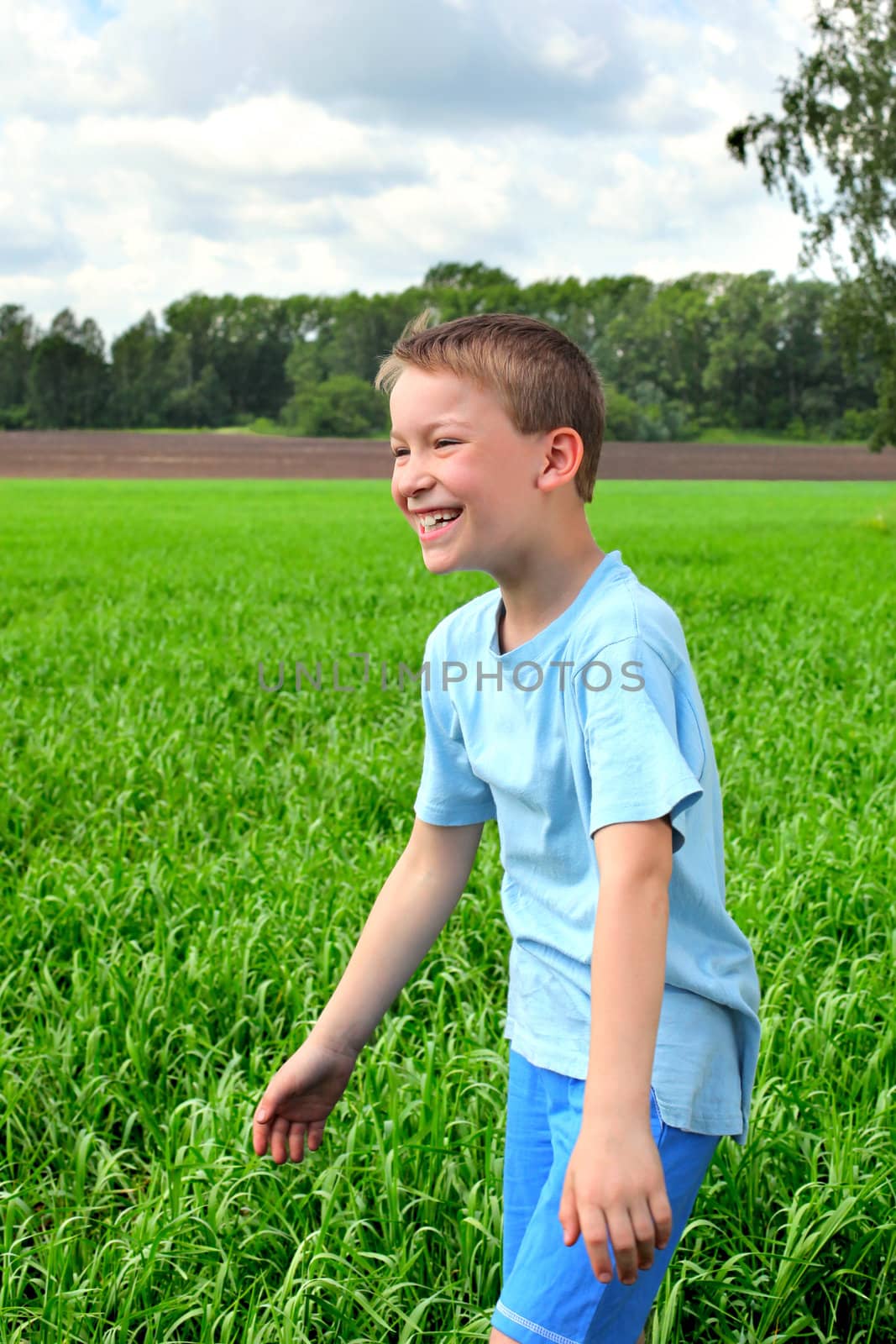 happy boy in the summer field