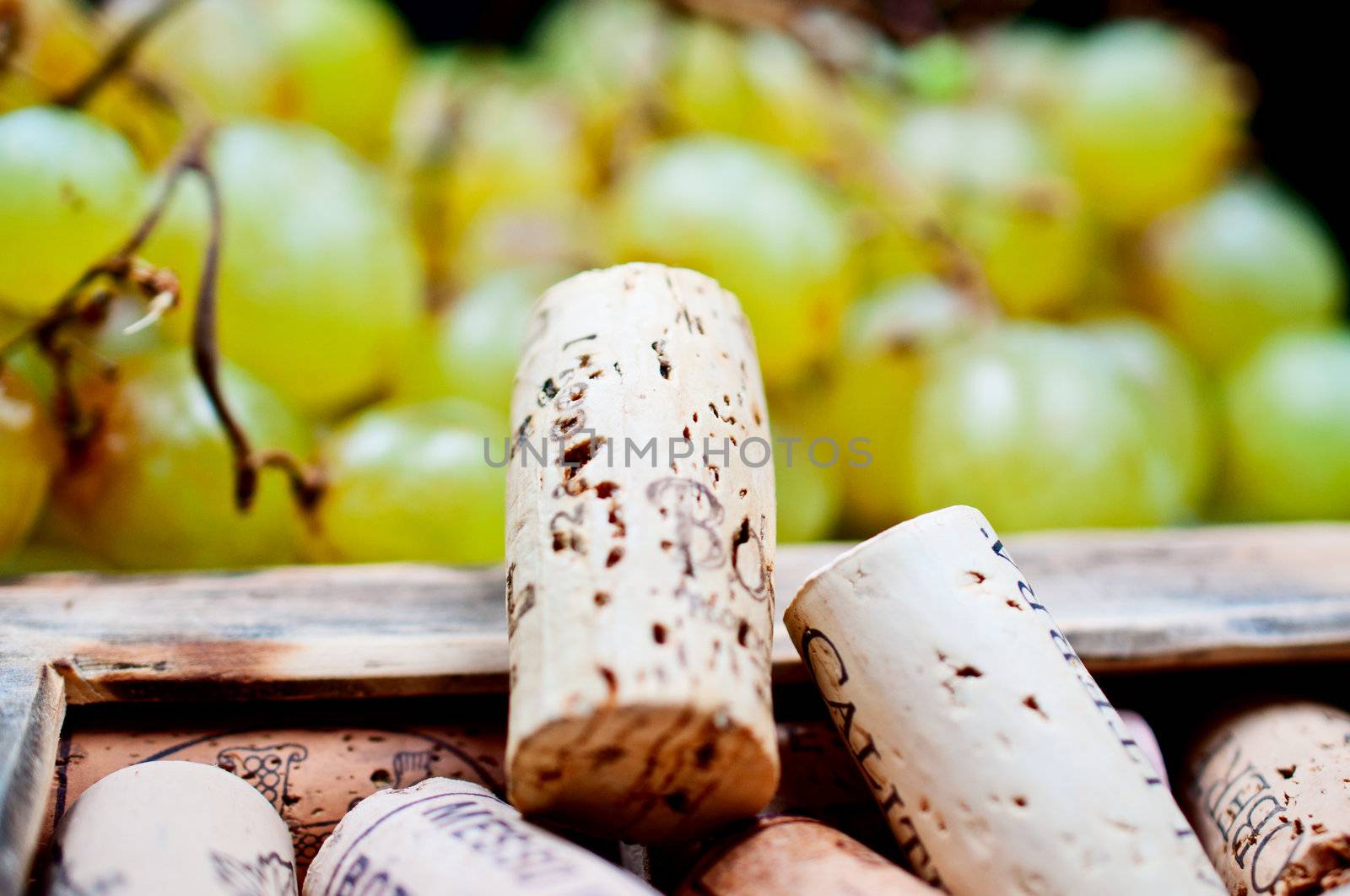 Wine corks in the frame on grape background by Nanisimova