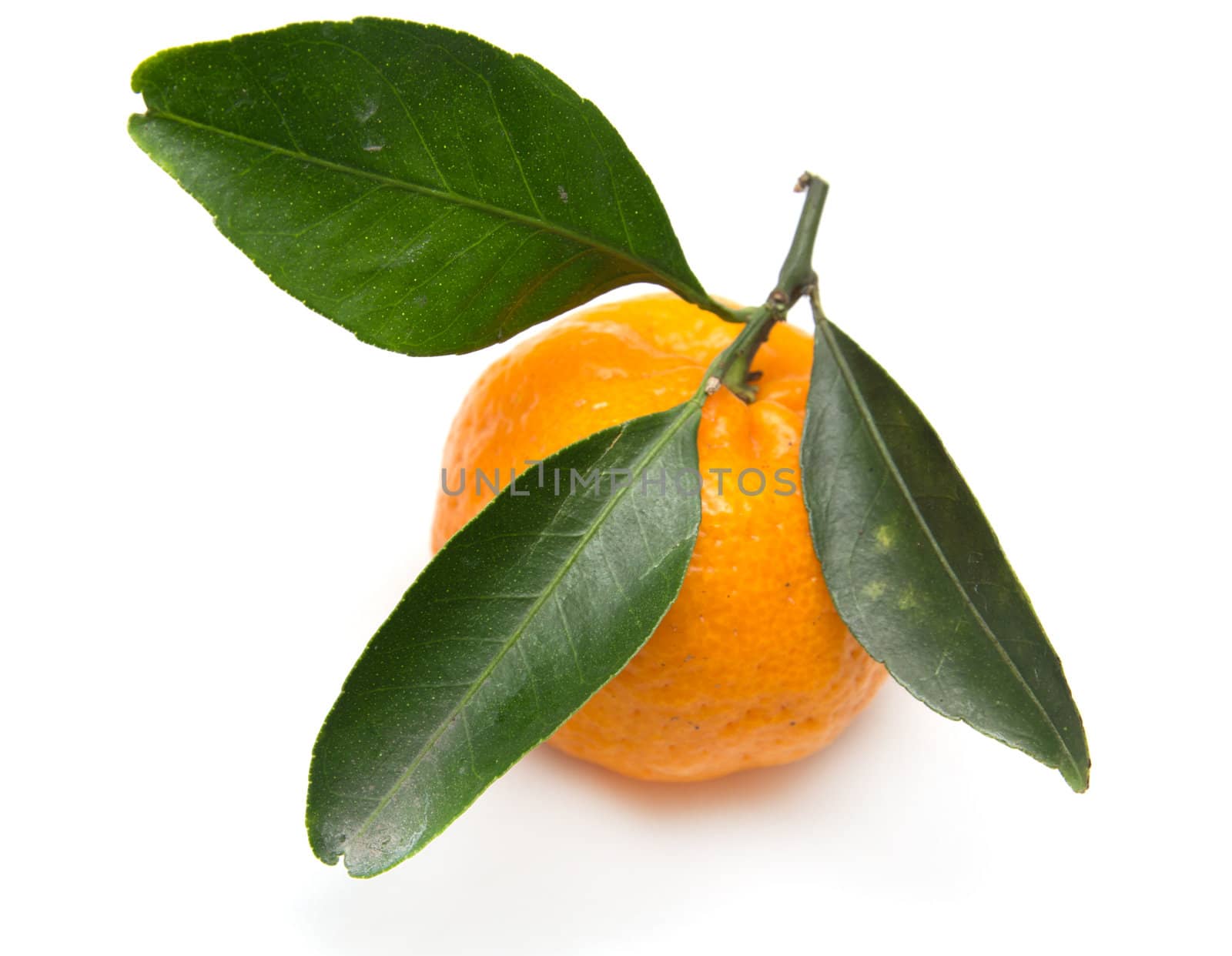 tangerine on white background