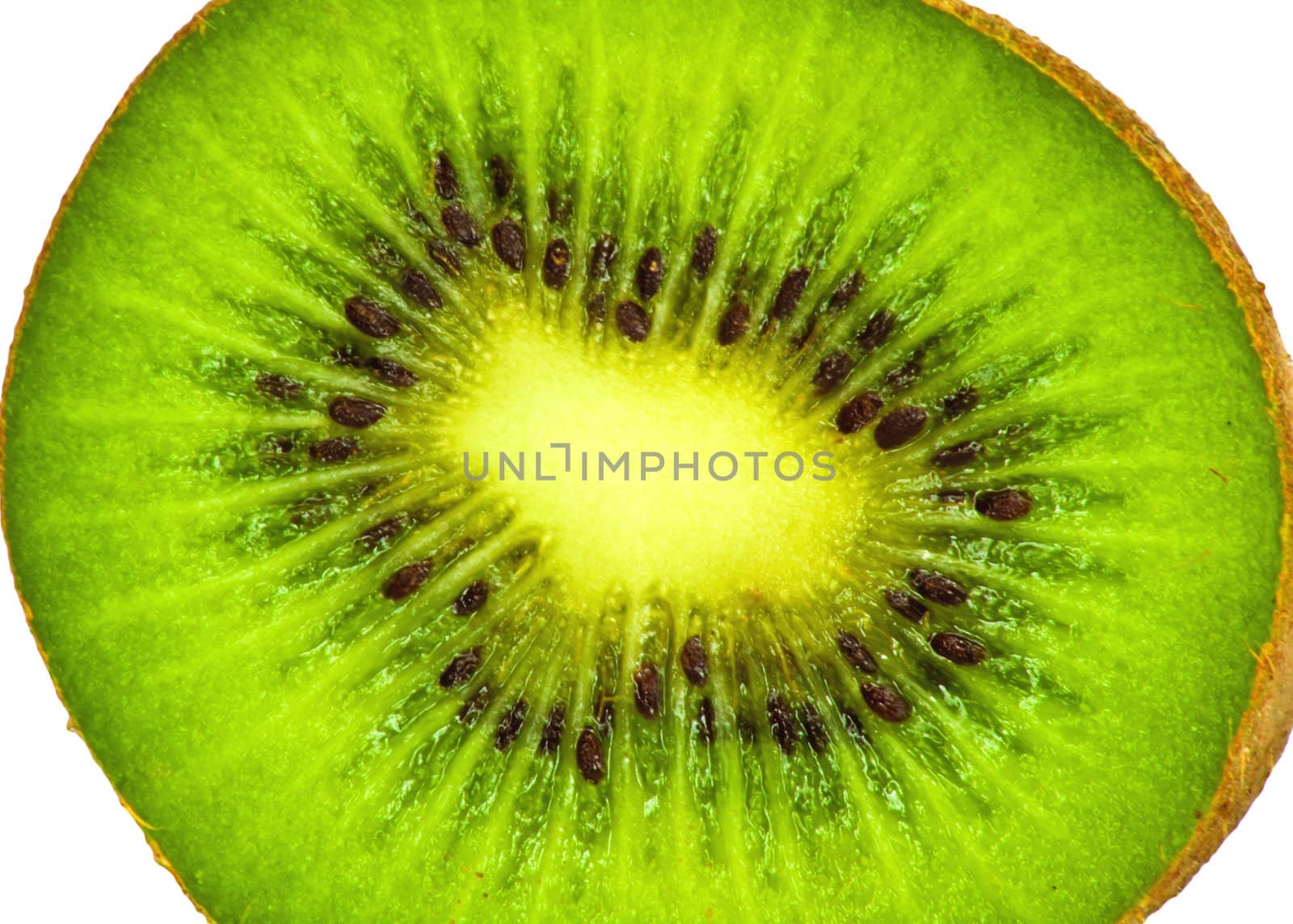 green kiwi by schankz