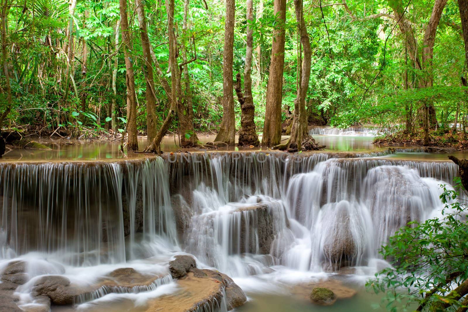 Deep forest Waterfall in Thailand