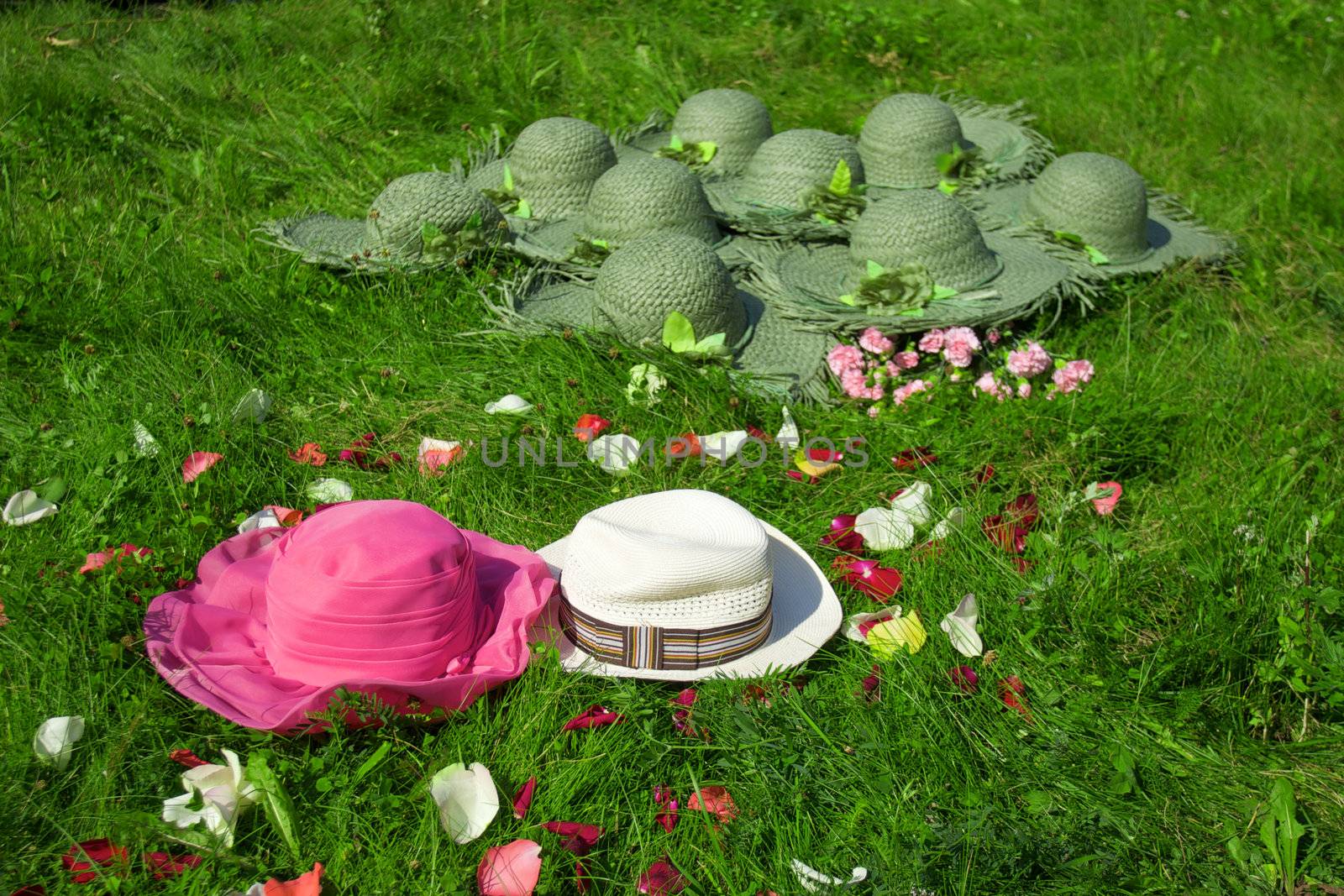 Hats on the green grass background