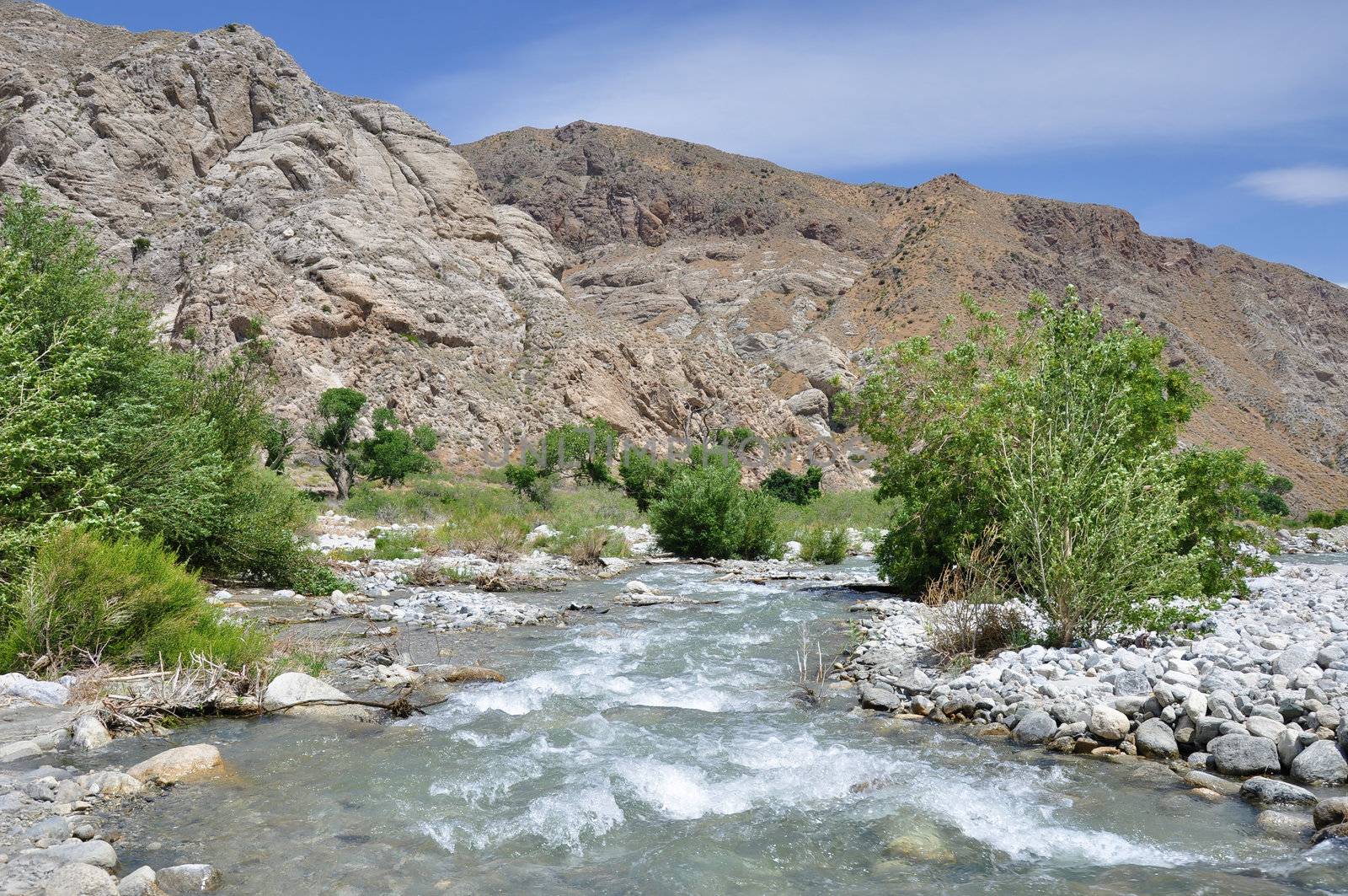 Canyon Rocks and River by PJ1960