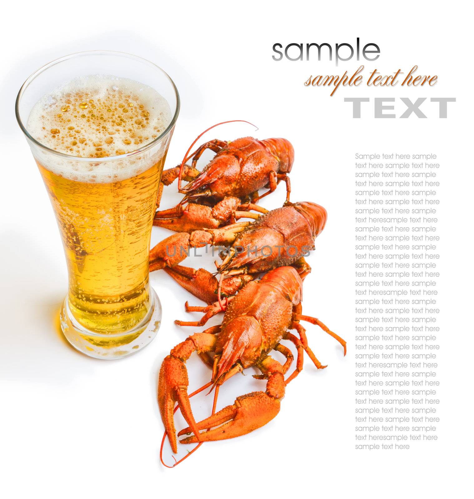 the red lobster with a glass of beer on white background
