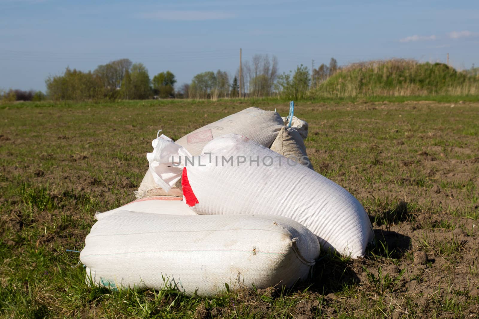 cereal seeds in sacks waiting at the edge of the field