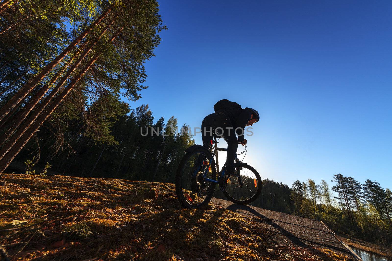 Biker Riding in Forest by Discovod