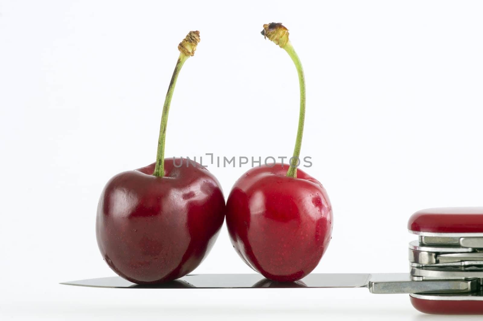 Two fresh red cherries with stem on top of a blade of a swiss army knife