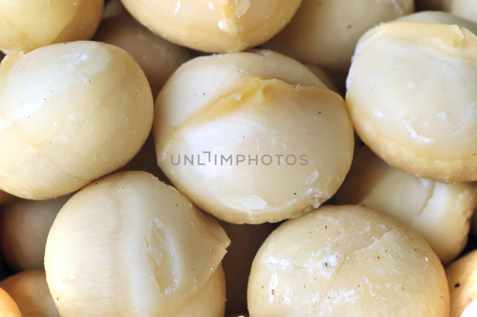 Unshelled macadamia nuts by sommai