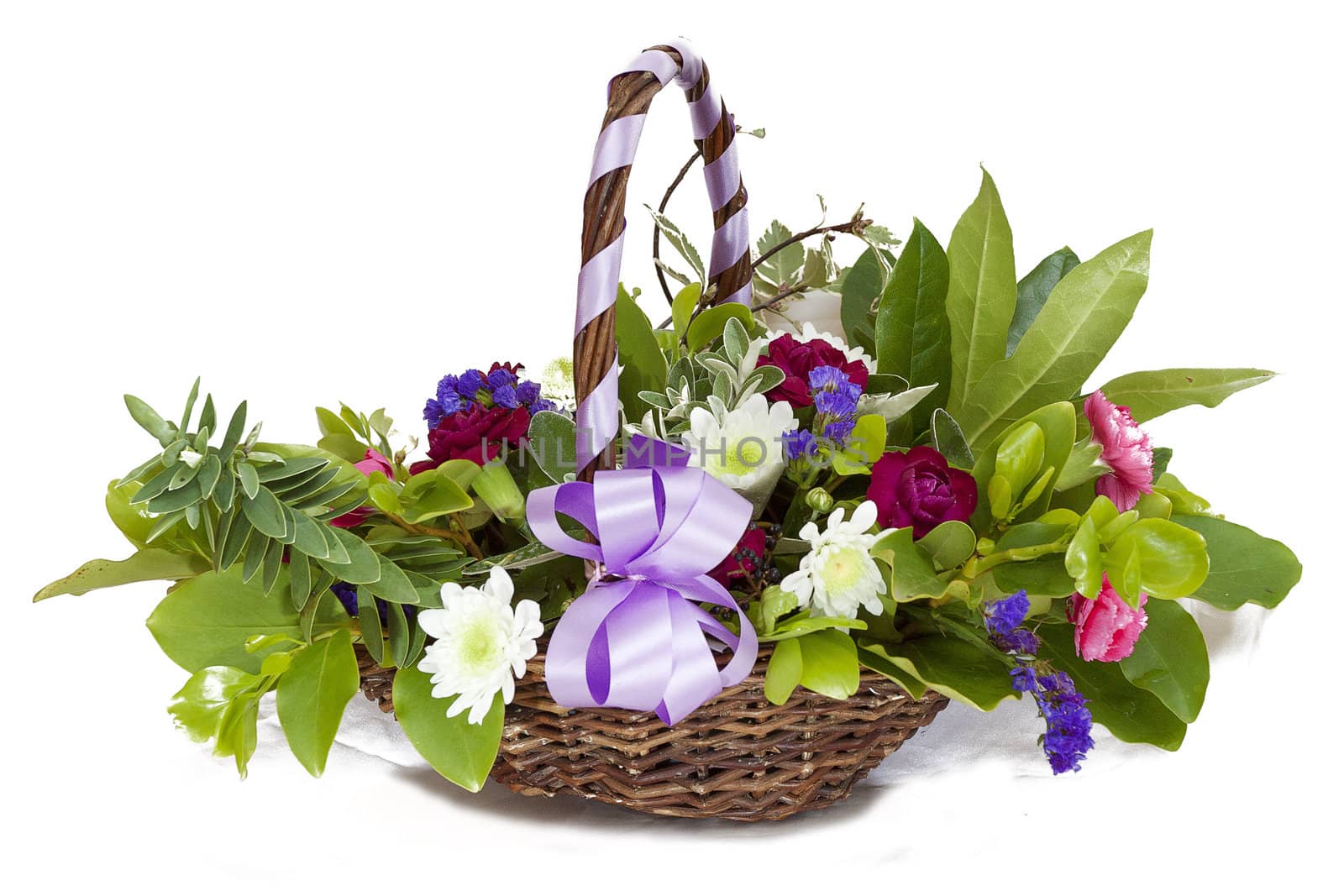 Arranged flowers on white background