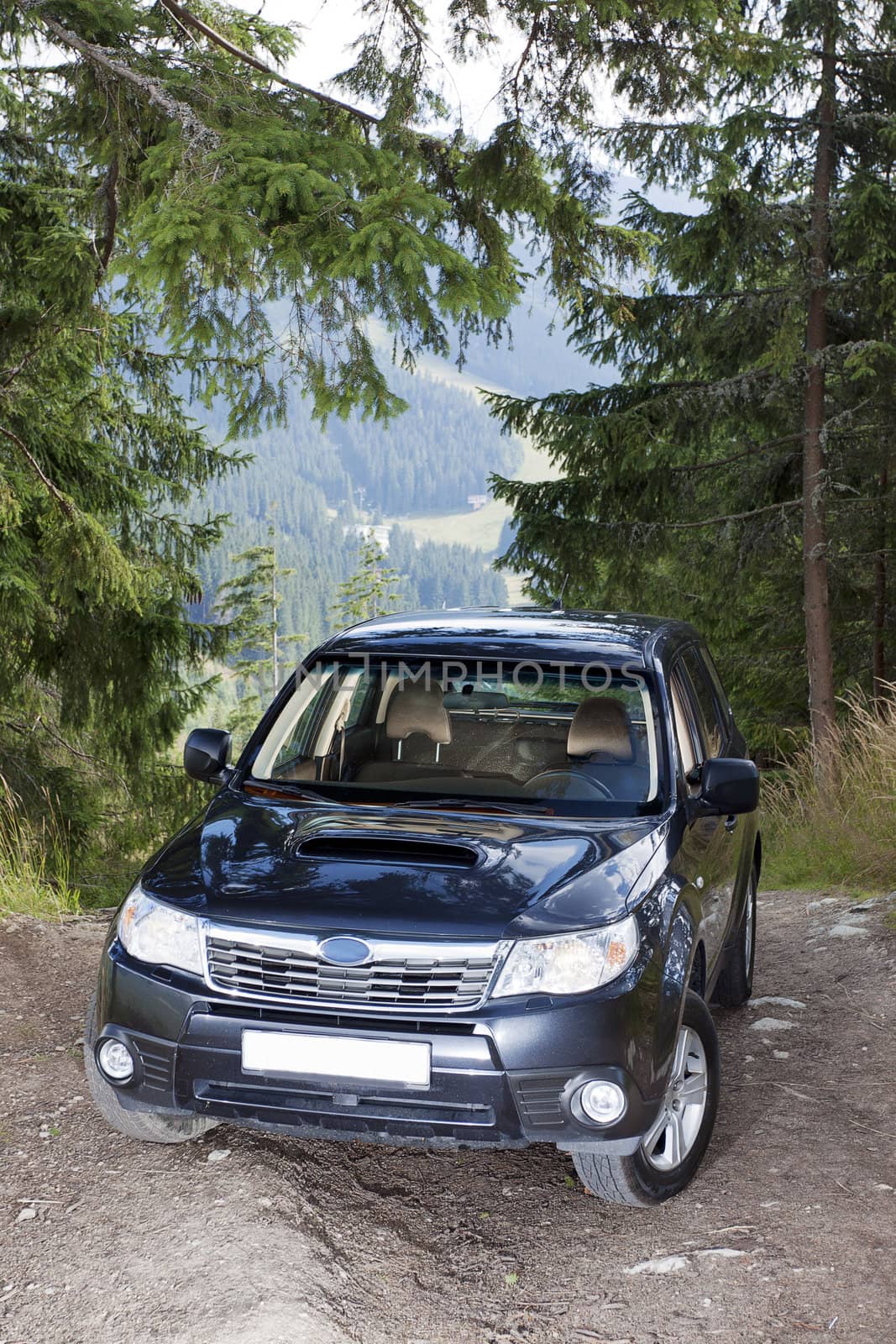 Subaru Forester in mountains.