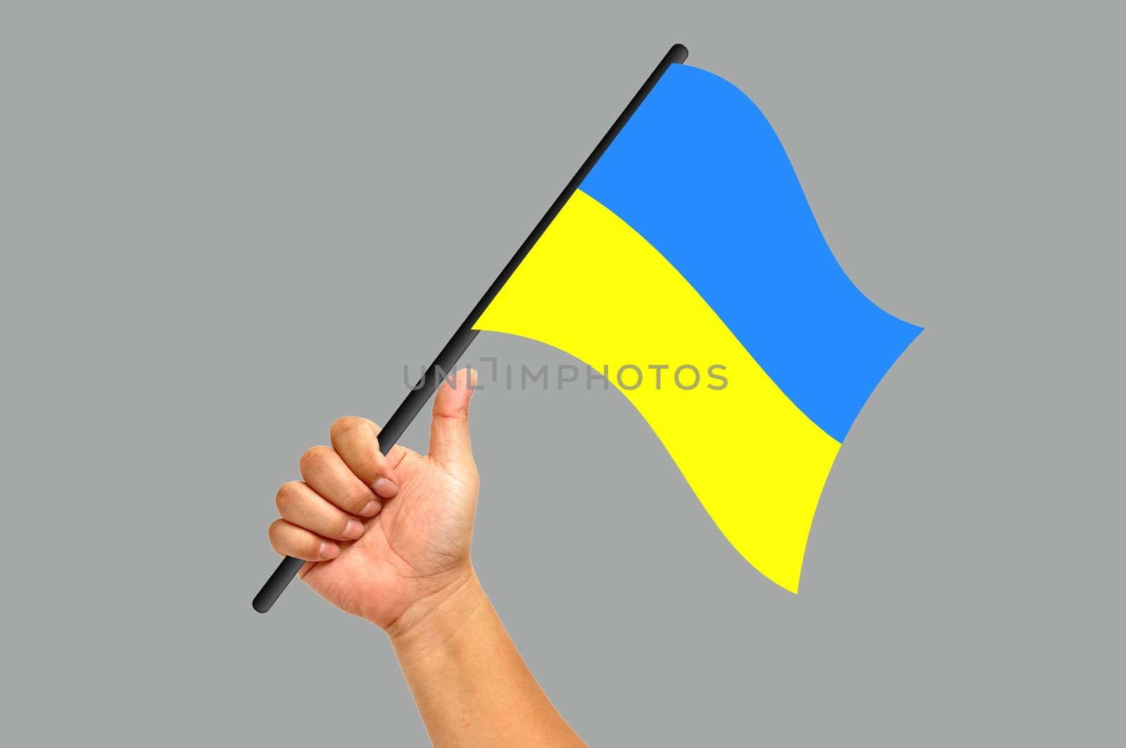 Hand holding ukraine flag isolated on white background