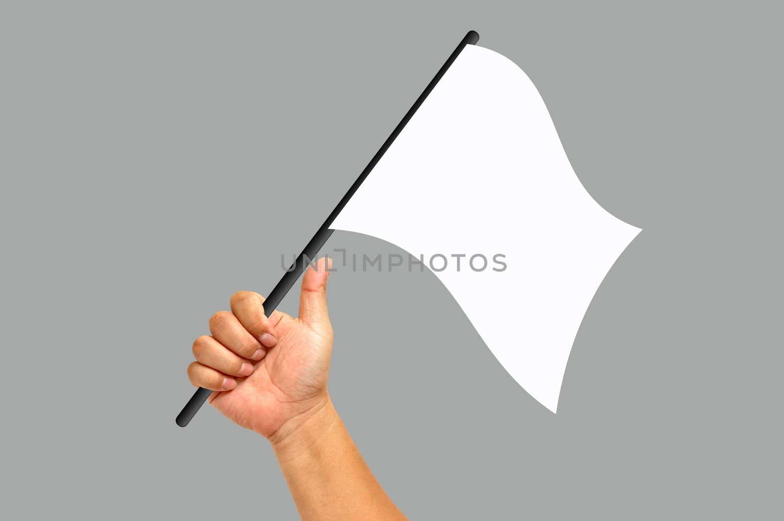 Hand holding white flag isolated on white background