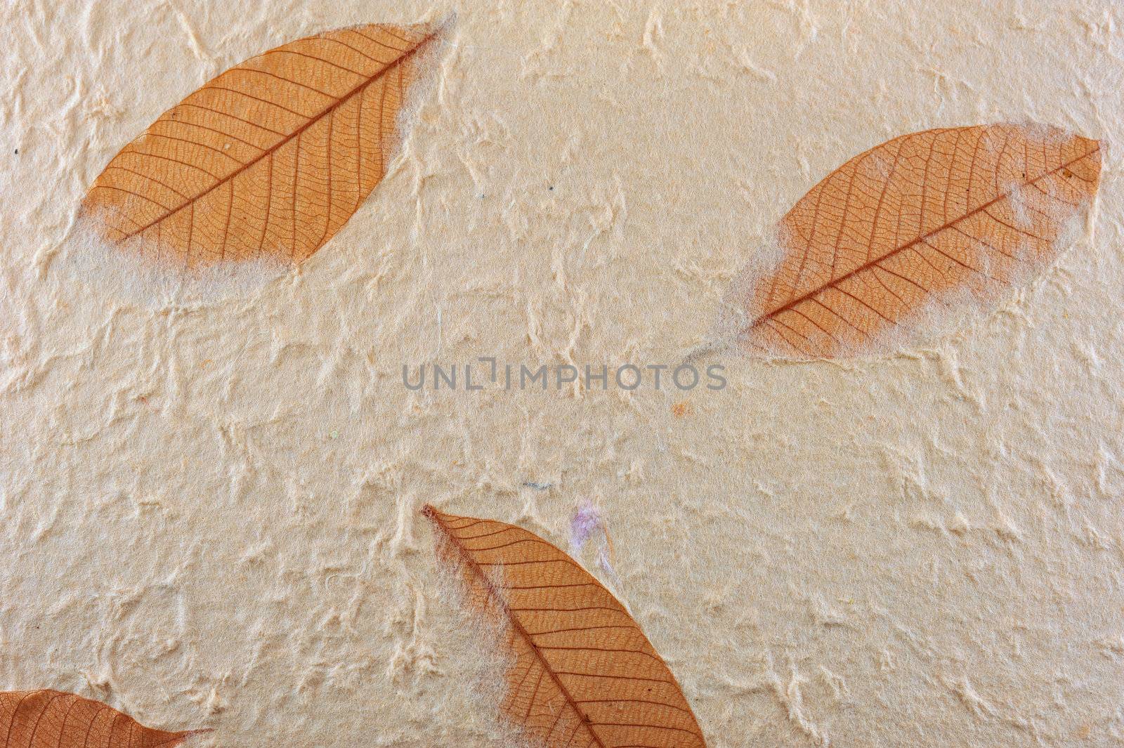 Mulberry paper texture background by sommai