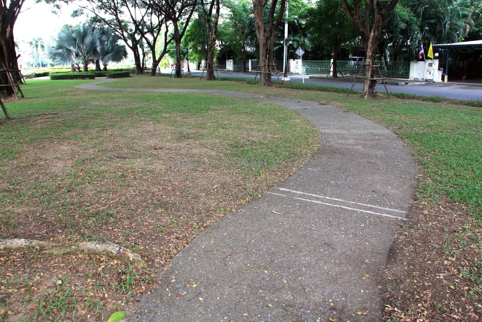 The curvy walk way of a city park