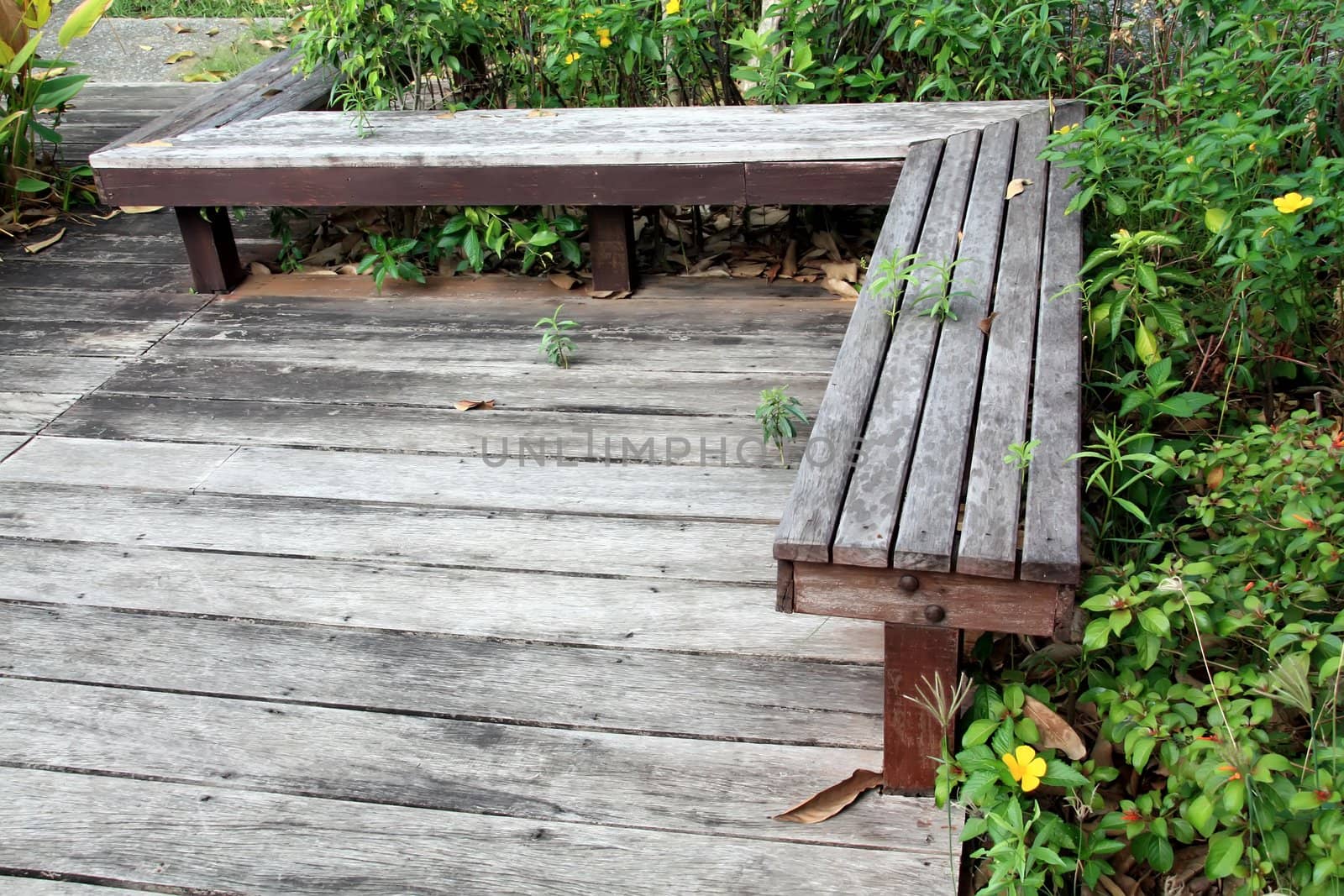 Chair in the garden