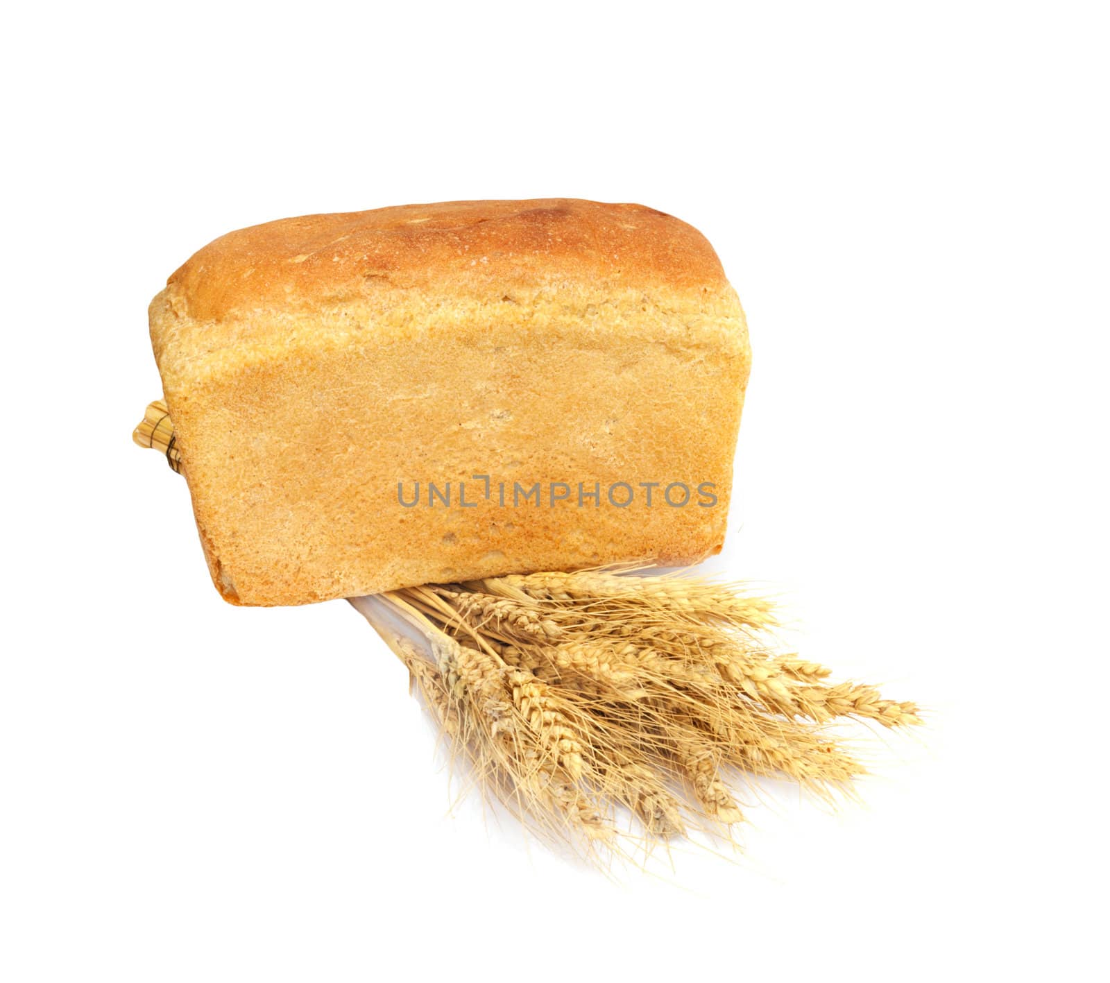 Bread and wheat on a white background 