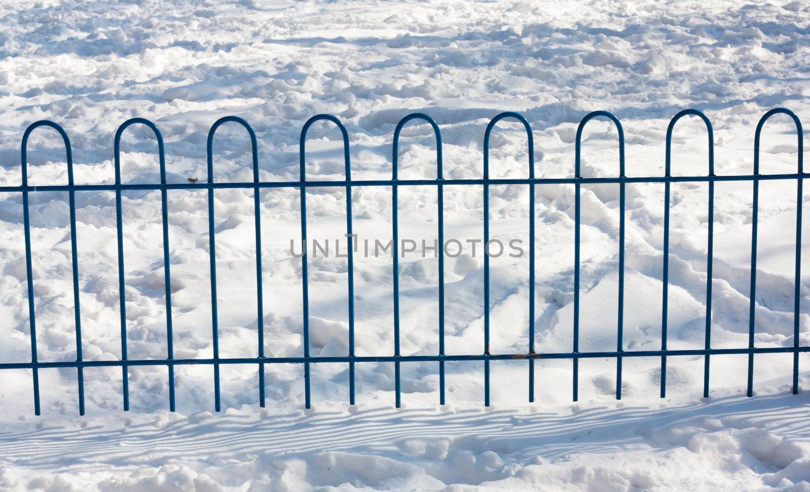 fence in the snow