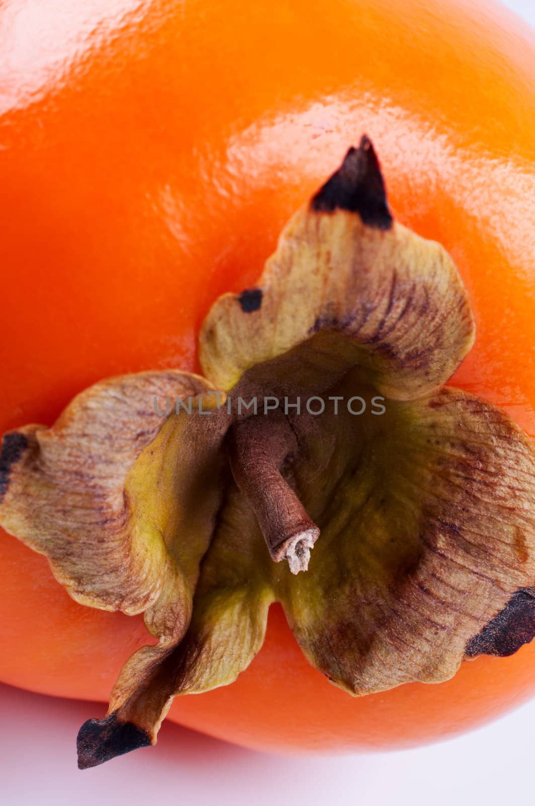 Persimmon on white background close up