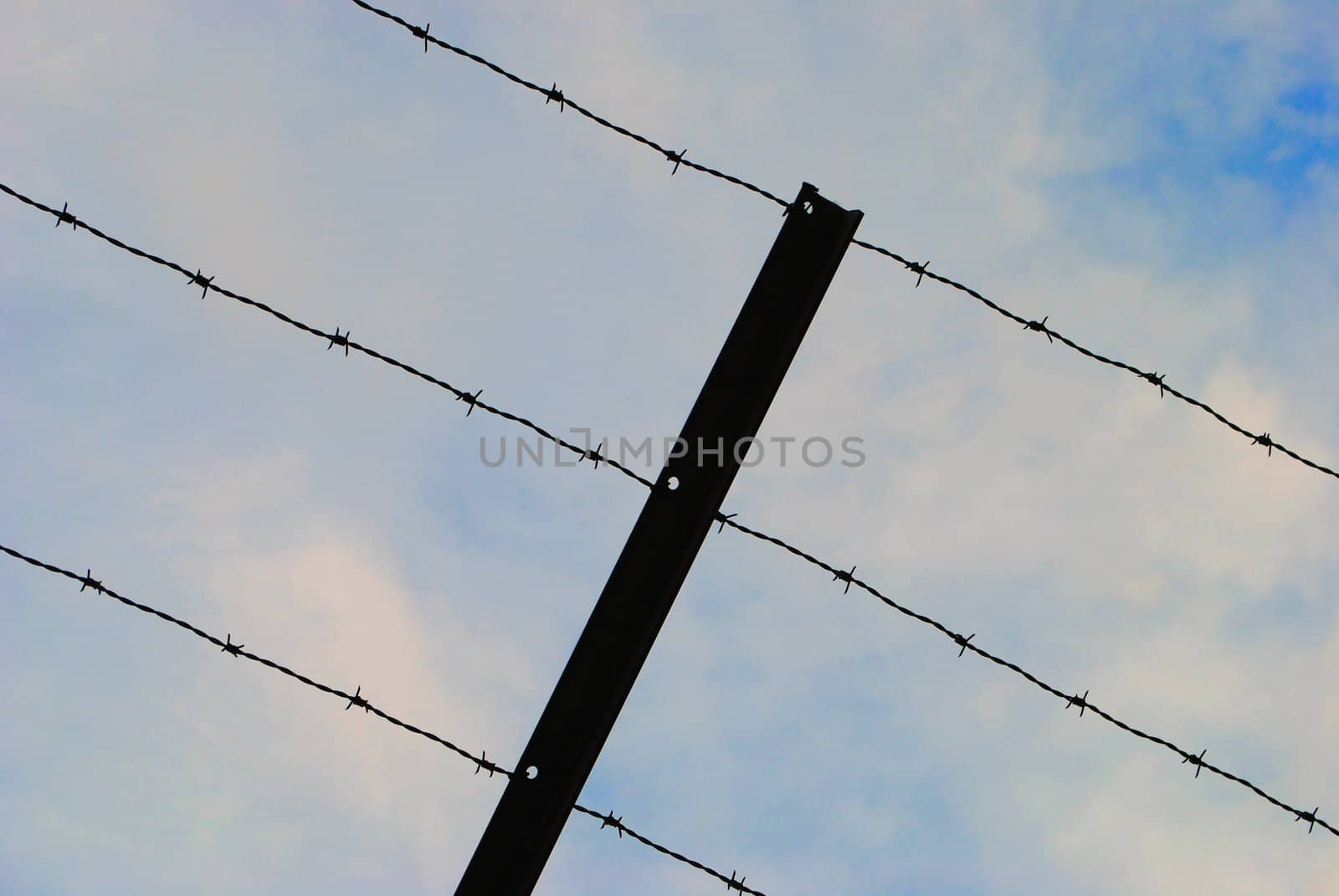 A barbed wire fence.