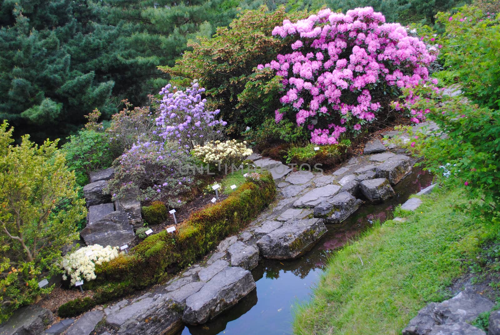 The University Botanical Garden at Tøyen in Oslo is Norway's oldest botanical garden, established in 1814. It is administrated by the University of Oslo.