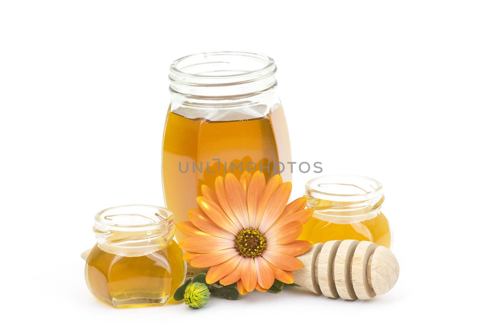 honey and flower on white