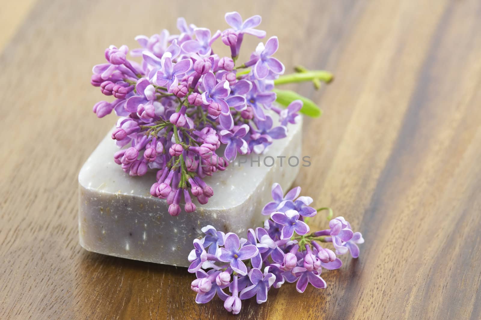 bar of natural soap and lilac flowers