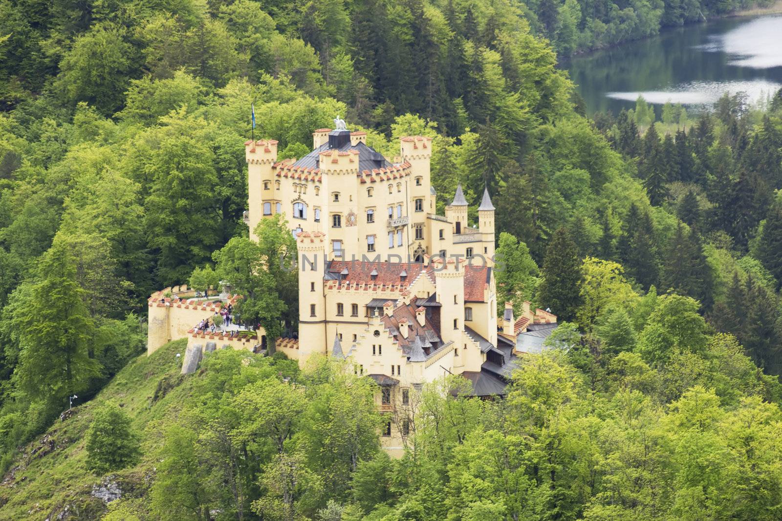 German Hohenschwangau Castle in Bavaria 