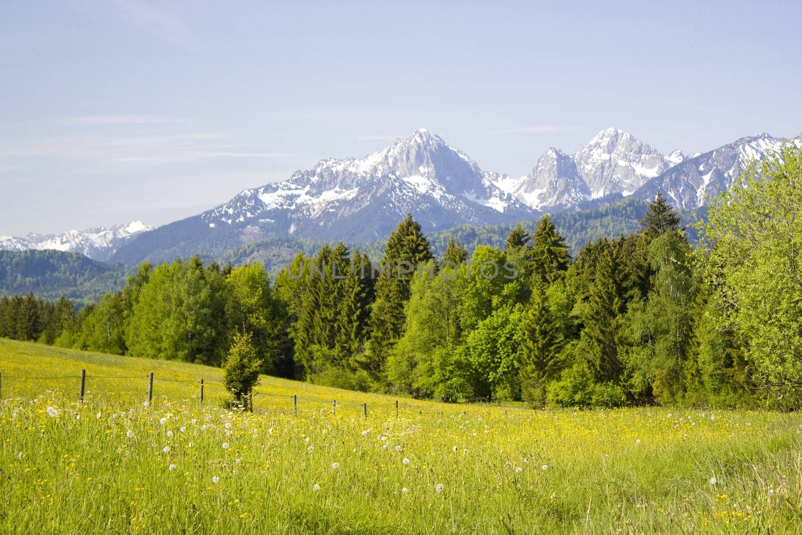 lovely panorama in the alps in Germany