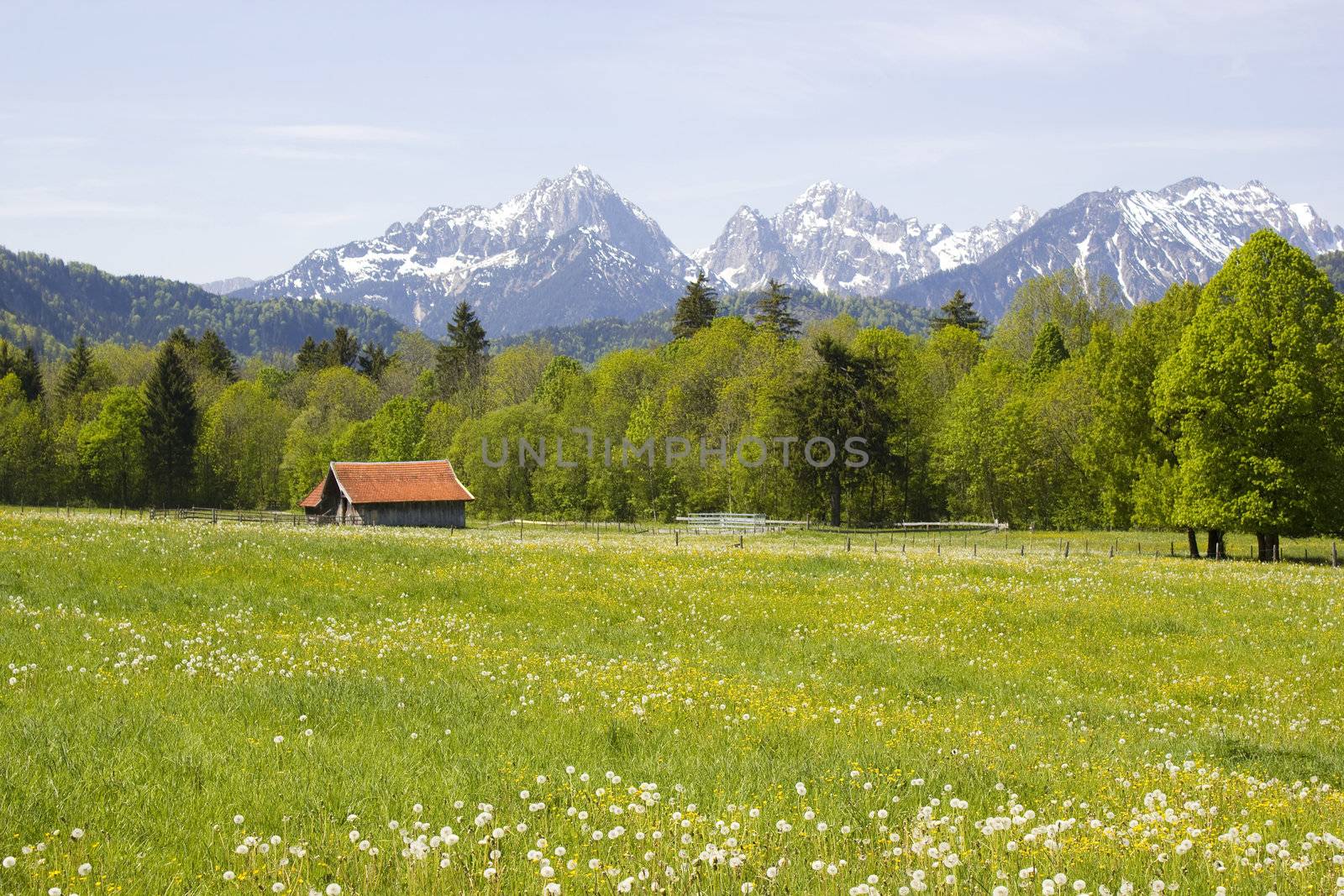 lovely panorama in the alps in Germany 