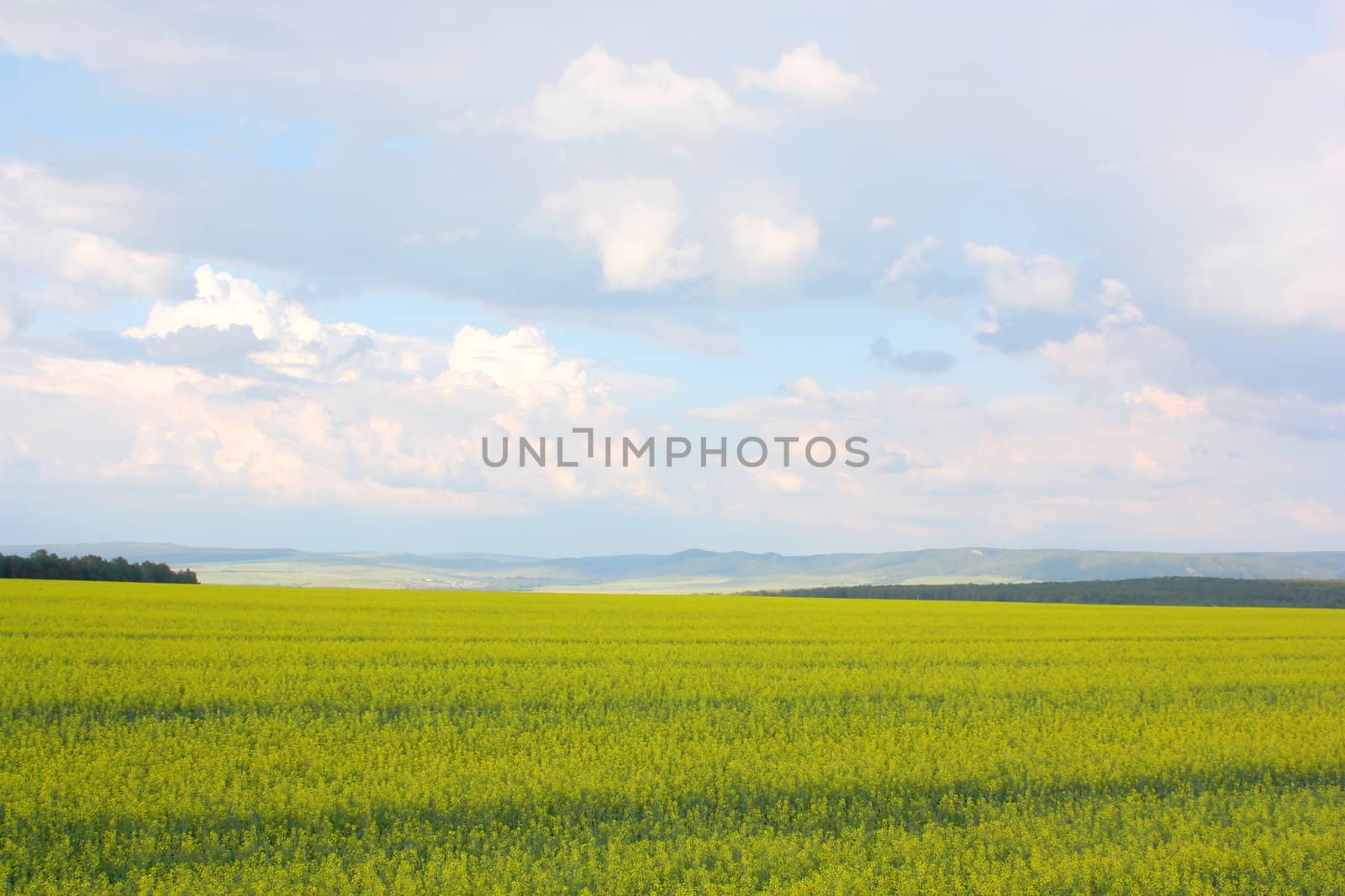 Beautiful summer landscape with blue sky and clouds.