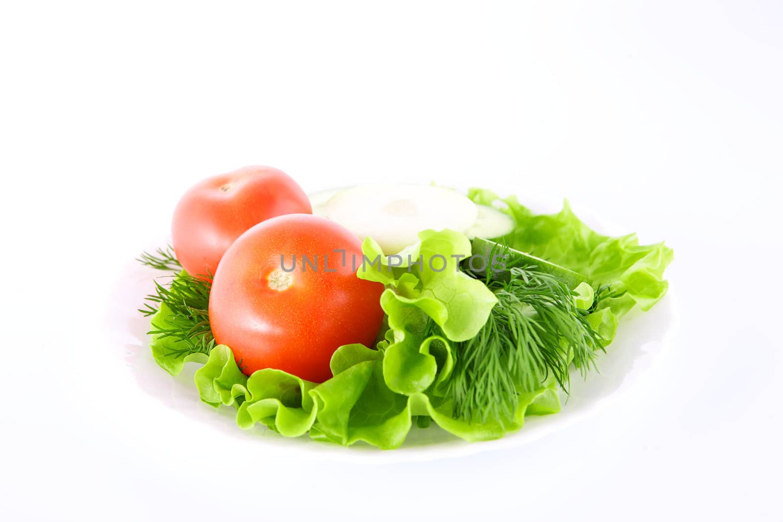 Vegetables on the white background