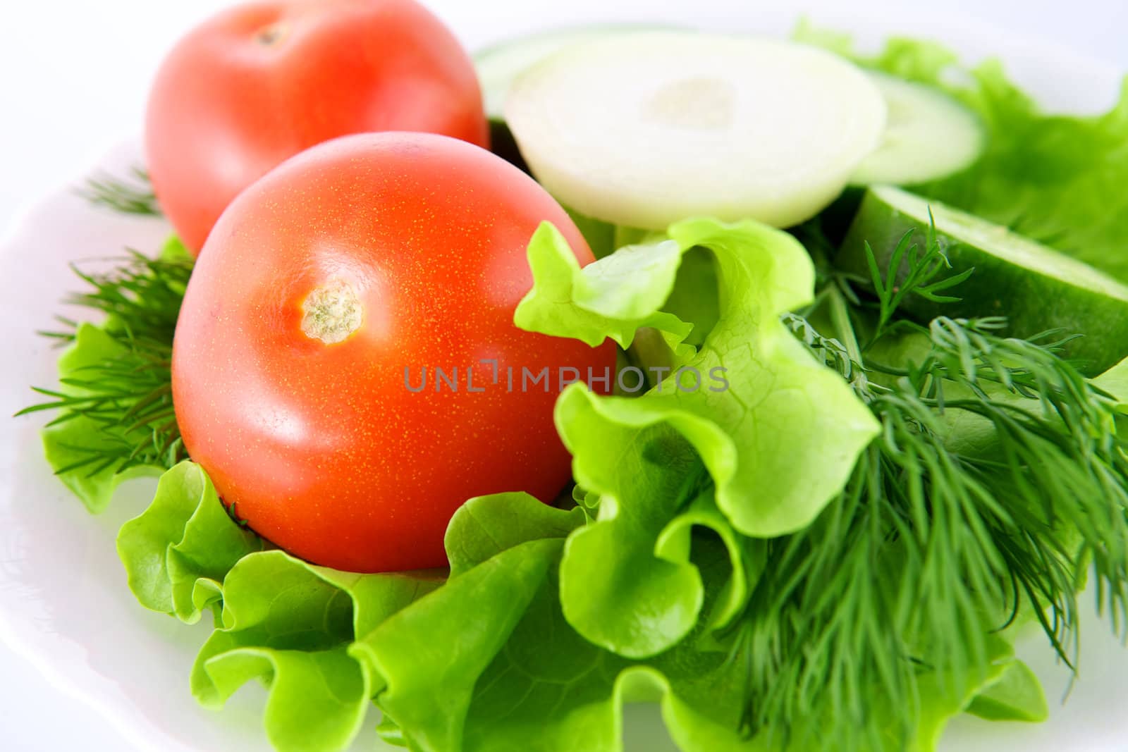 Vegetables on the white background