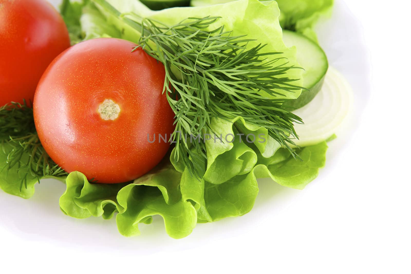 Vegetables on the white background