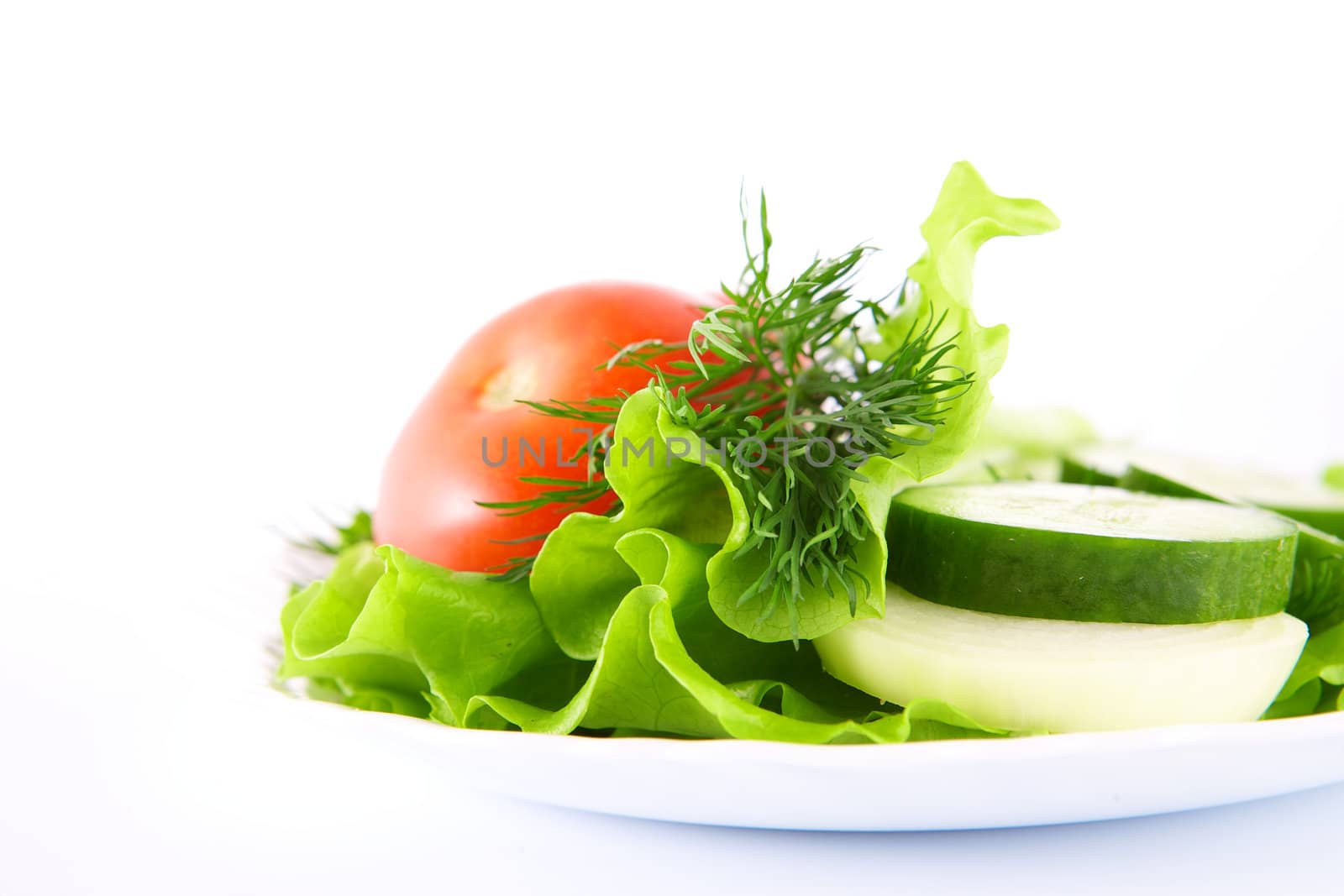 Vegetables on the white background