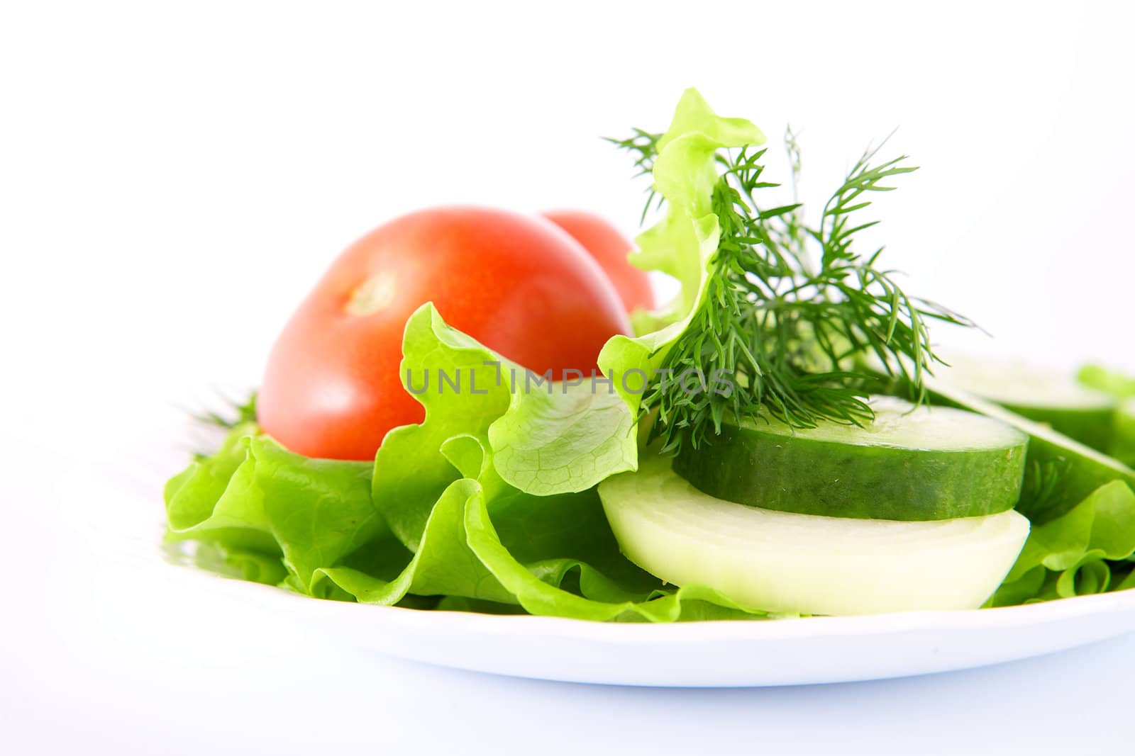 Vegetables on the white background