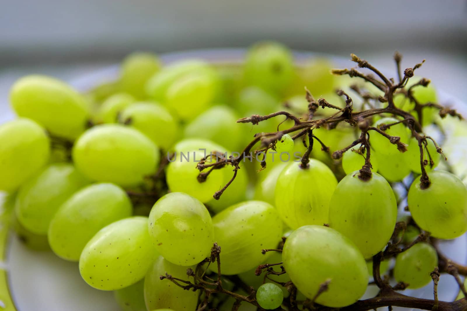 Grapes