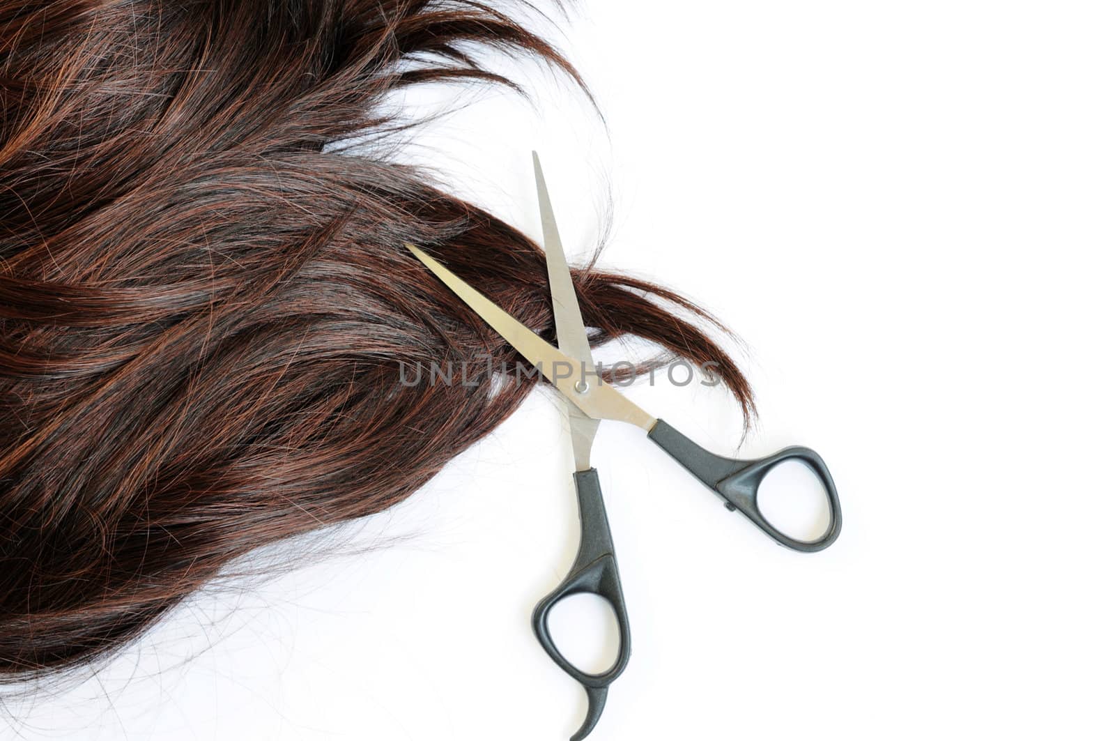 Brown hair and scissors on a white background