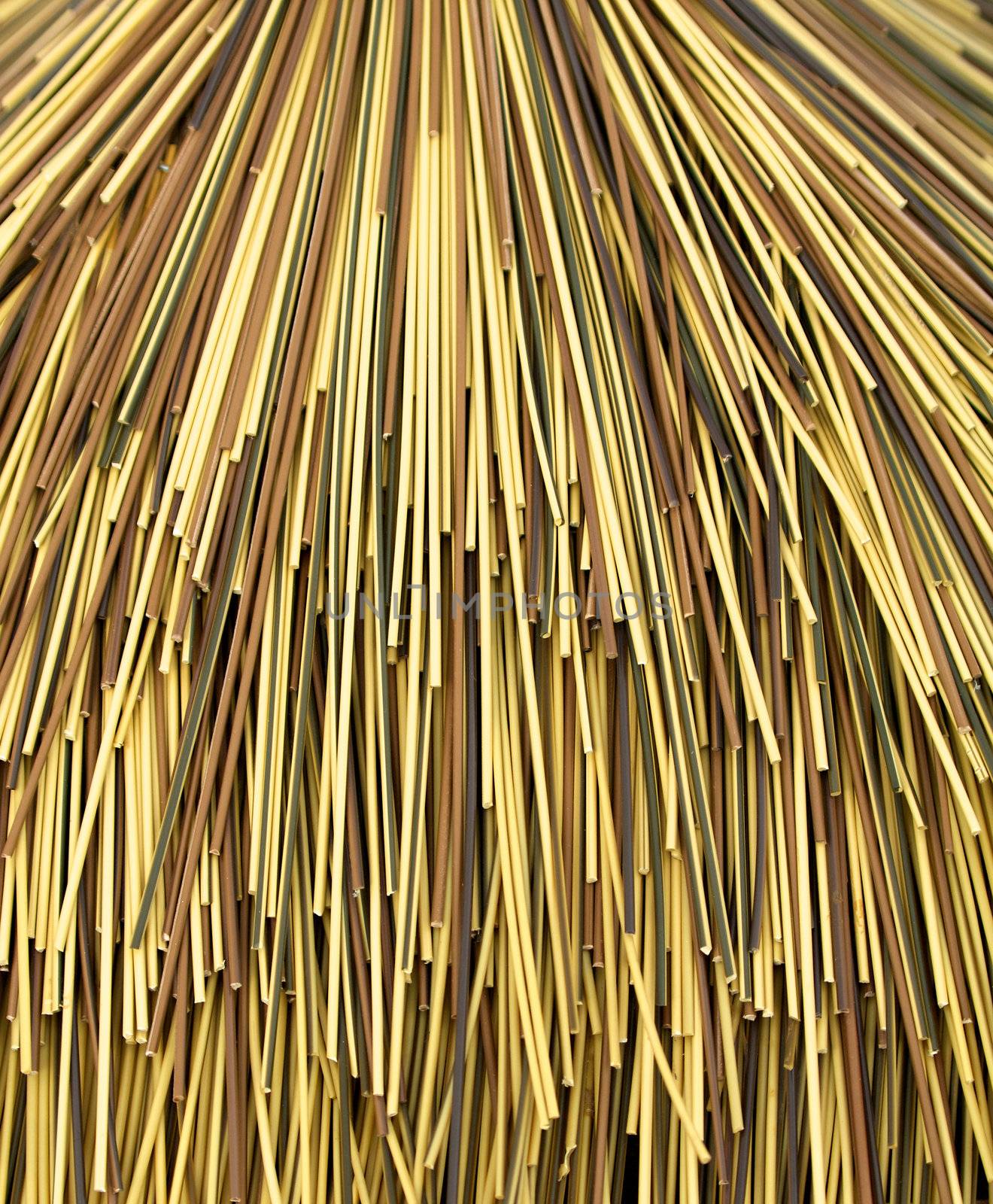 Multi color Bamboo cane closeup as background
