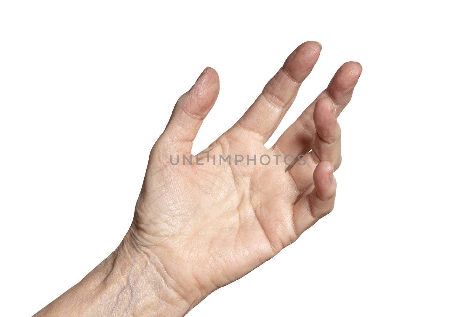 Studio shot of female hand. Isolated on white background.