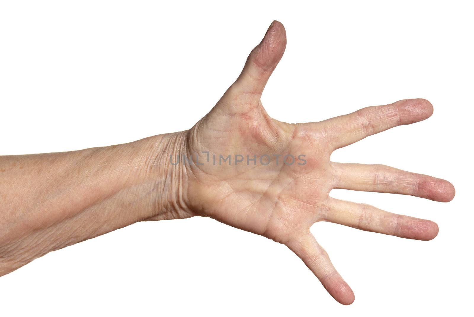 Studio shot of female hand. Isolated on white background.