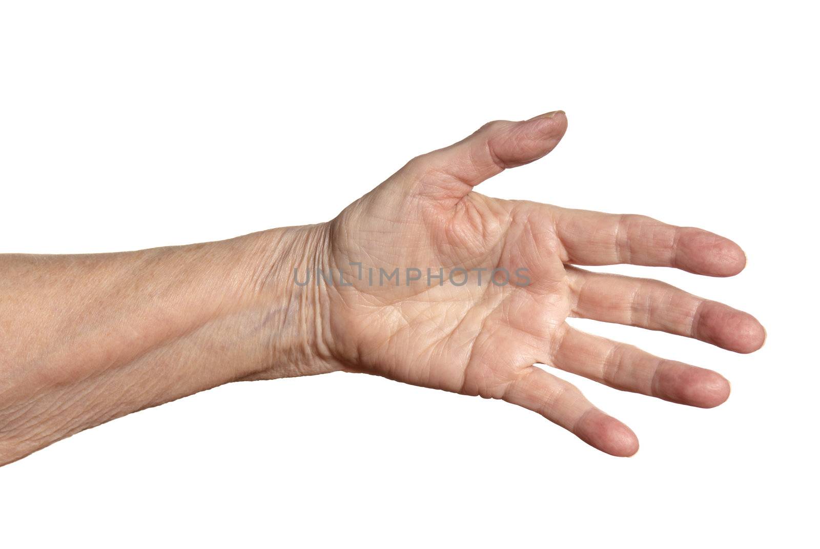 Studio shot of female hand. Isolated on white background.